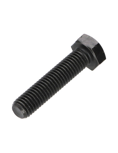 1 x Metalliruuvit Kuusiopää TH M10X60 Luokka...