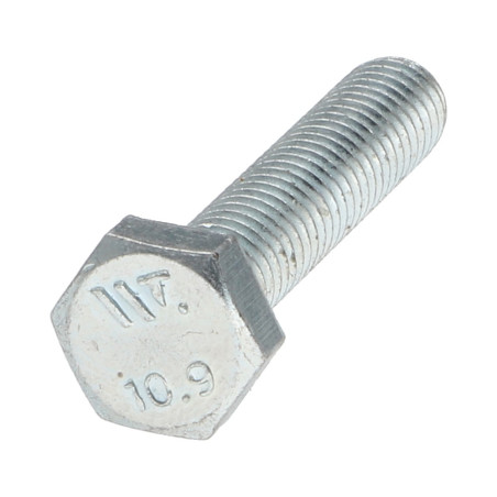 1 x Metalliruuvit Kuusiopää TH M6X30 Luokka 10.9 Sinkitty teräs