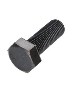 Metalliruuvit Kuusiopää TH M22x50 Luokka 10.9 Raakateräs