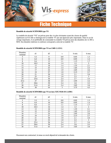 1 x Aluslevy SCHNORR VS. M5X9X1.3 414600...