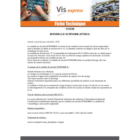 1 x Aluslevy SCHNORR M10 Raakateräs Tyyppi S 423000