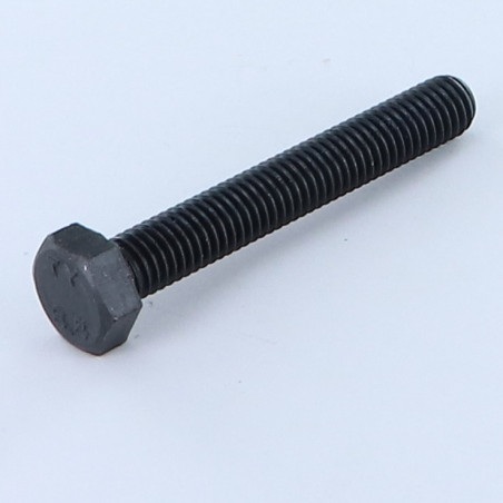 1 x Metalliruuvit Kuusiopää TH M6X60 Luokka 8.8 Raakateräs