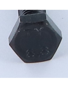 Metalliruuvit Kuusiopää TH M8X100 Luokka 8.8 Raakateräs 2