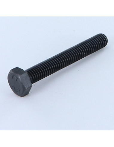1 x Metalliruuvit Kuusiopää TH M10X65 Luokka...