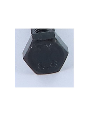 1 x Metalliruuvit Kuusiopää TH M10X65 Luokka...