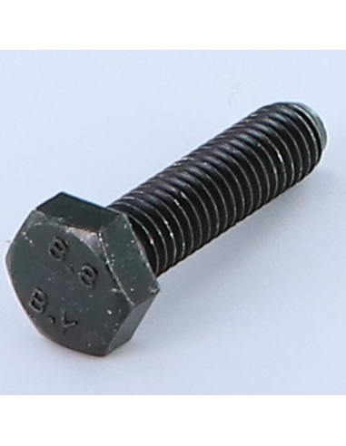 1 x Metalliruuvit Kuusiopää TH M10X30 Luokka...