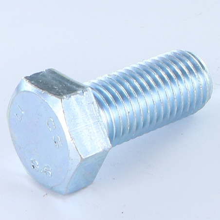 1 x Metalliruuvit Kuusiopää TH M20X45 Luokka 8.8 Sinkitty teräs