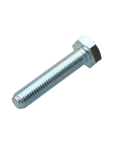 1 x Metalliruuvit Kuusiopää TH M10X45 Luokka...