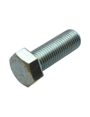 1 x Metalliruuvit Kuusiopää TH M22x50 Luokka...