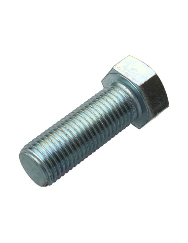 1 x Metalliruuvit Kuusiopää TH M22x50 Luokka...