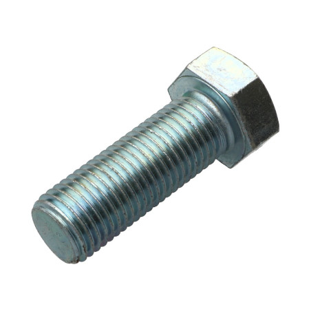 1 x Metalliruuvit Kuusiopää TH M22x50 Luokka 8.8 Sinkitty teräs