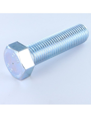 1 x Metalliruuvit Kuusiopää TH M24X80 Luokka...