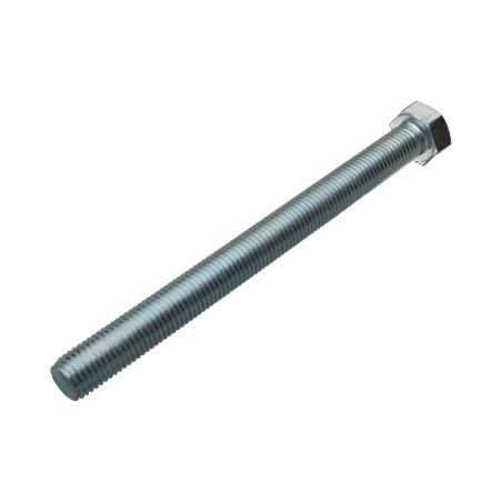 1 x Metalliruuvit Kuusiopää TH M20X180 Luokka 8.8 Sinkitty teräs