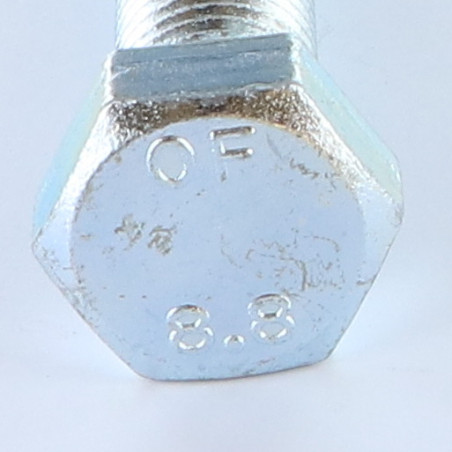 1 x Metalliruuvit Kuusiopää TH M20X55 Luokka 8.8 Sinkitty teräs