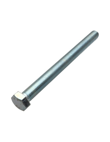 1 x Metalliruuvit Kuusiopää TH M20X200 Luokka...