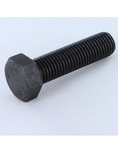 1 x Metalliruuvit Kuusiopää TH M18X50 Luokka...