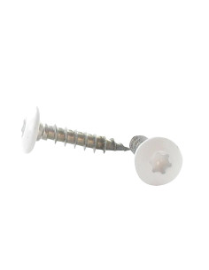 Ruuvi Sarana 7X40 Kierteytetty kohteessa 38 TORX T30...