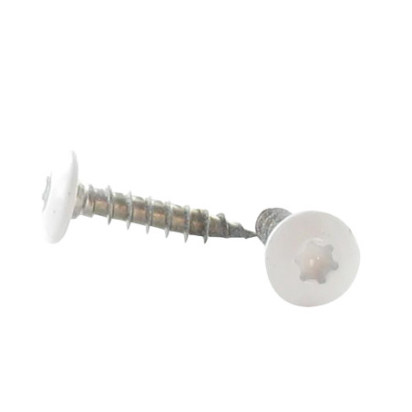 1 x Ruuvi Sarana 7X40 Kierteytetty kohteessa 38 TORX T30 Ruostumaton teräs A2 RAL 9010 puhtaanvalkoinen 80 % LOISTAVA