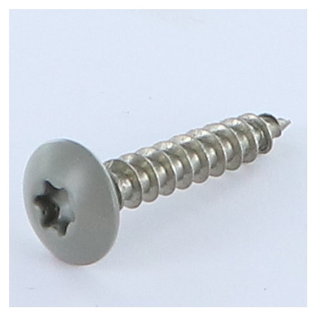 1 x Ruuvi Sarana 6X35 Kierteytetty kohteessa 30 TORX T30 Ruostumaton teräs A2 RAL7023