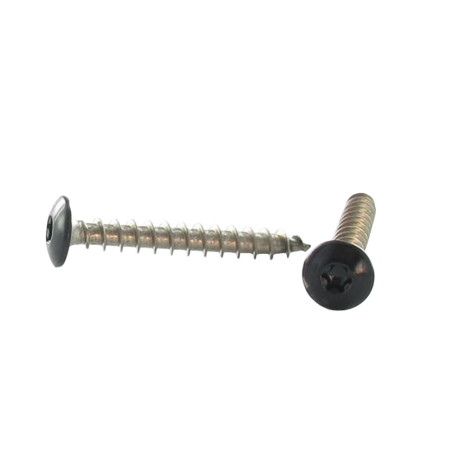 1 x Ruuvi Sarana 6x50 Kierteytetty kohteessa 38 TORX T30 Ruostumaton teräs A2 Musta lakkaus RAL 9005 pikimusta