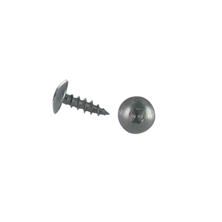 1 x Ruuvi Sarana 6X30 Kokonaan kierteytetty TORX T30 Ruostumaton teräs A2 Musta