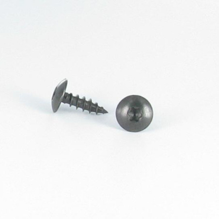 1 x Ruuvi Sarana 6x40 Kierteytetty kohteessa 38 TORX T30 Ruostumaton teräs A2 Musta