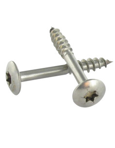 Ruuvi Sarana 7x50 Kierteytetty kohteessa 38 TORX T30...