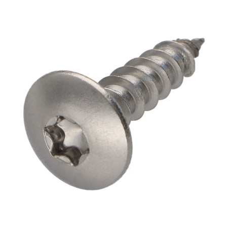 1 x Ruuvi Sarana 6X25 Kokonaan kierteytetty TORX T30 Ruostumaton teräs A2