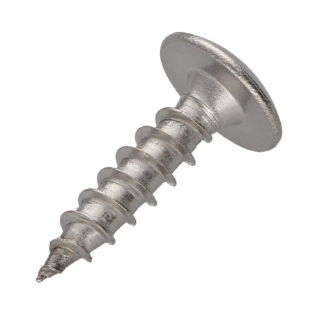 1 x Ruuvi Sarana 6X25 Kokonaan kierteytetty TORX T30 Ruostumaton teräs A2