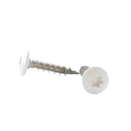 1 x Ruuvi Sarana 6x40 Kierteytetty kohteessa 38 TORX T30 Ruostumaton teräs A2 LQBLC RAL 9016 signaalivalkoinen