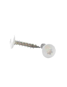 Ruuvi Sarana 6X25 Kokonaan kierteytetty TORX T30...