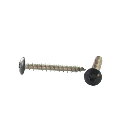 1 x Ruuvi Sarana 6X30 Kokonaan kierteytetty TORX T30 Ruostumaton teräs A2 Musta lakkaus RAL 9005 pikimusta