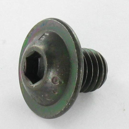 1 x Metalliruuvit BHC (Bombée Hexagonal creux / kupukantainen kuusiopää) Laippakanta M6X10 Avain 4 HC4 Luokka 10.9