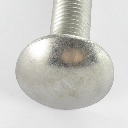 1 x Pyöreäkantaiset Neliökaulapultit Ruostumaton teräs A4 M8x50 Osittain kierteytetty