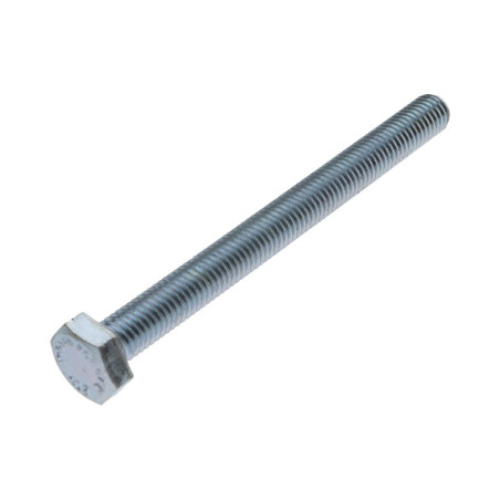 1 x Metalliruuvit Kuusiopää TH M10X110 Luokka 10.9 Sinkitty teräs