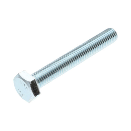 1 x Metalliruuvit Kuusiopää TH M20X80 Luokka 10.9 Sinkitty teräs