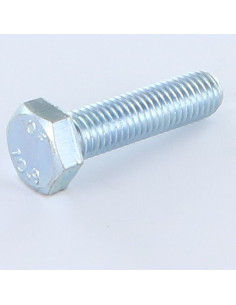 Metalliruuvit Kuusiopää TH M10X25 Luokka 10.9 Sinkitty teräs