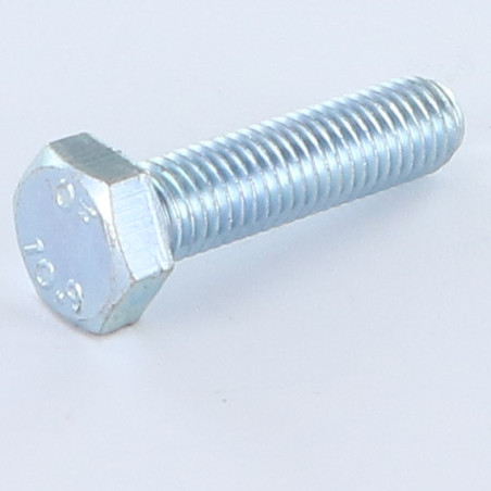1 x Metalliruuvit Kuusiopää TH M10X25 Luokka 10.9 Sinkitty teräs