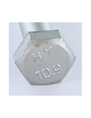 1 x "Pultin runko Kuusiopää TH M10X120 Luokka...