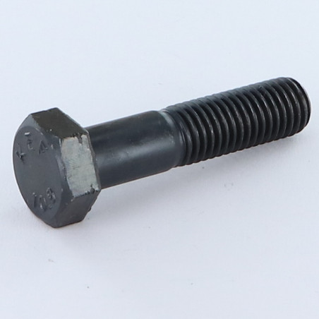 1 x "Pultin runko Kuusiopää TH M10X100 Luokka 10.9 Raakateräs
