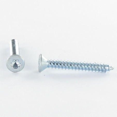 1 x Levyruuvi uppokantainen TORX T20 4.2X13 Sinkitty teräs