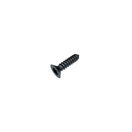 1 x Levyruuvi uppokantainen TORX T20 4.2X32 Musta sinkitty teräs