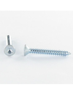 Levyruuvi uppokantainen TORX T20 4.2X9.5 Sinkitty teräs