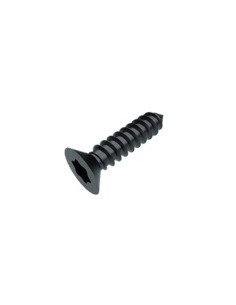 Levyruuvi uppokantainen TORX T20 4.2X19 Musta sinkitty teräs