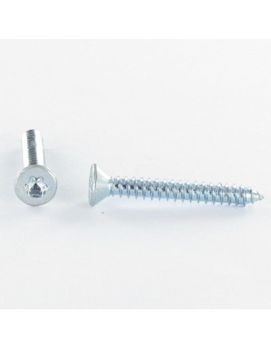 1 x Levyruuvi uppokantainen TORX T25 4,8x25...