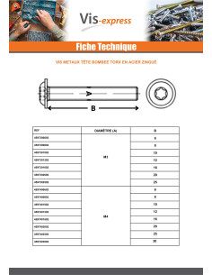 Metalliruuvit Kupupää Laippakanta TORX T25 M5X12 Luokka... 2