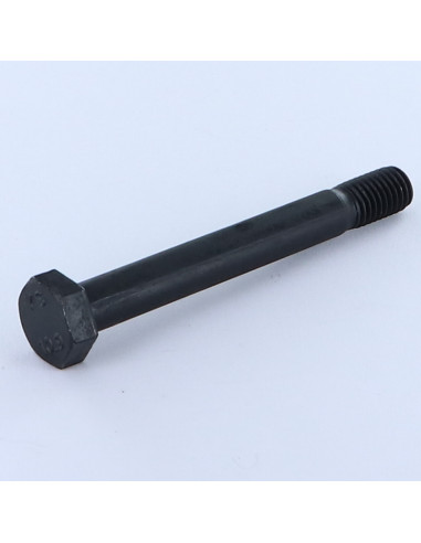 1 x "Pultin runko Kuusiopää TH M10X85...