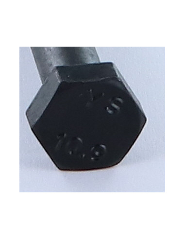 1 x "Pultin runko Kuusiopää TH M10X85...
