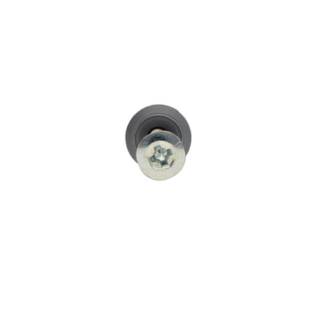 1 x Kiinnitystulppa Naula Ruuvi RAWLPLUG Litteä pää Suuri 6x40