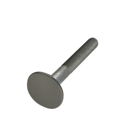 1 x Ruuvi uppokantainen LEVEÄ 4ERGOT10X80 RAL7023 30 % LOISTAVA